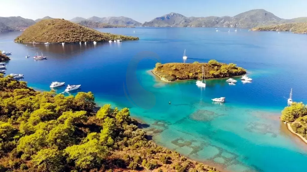 Isla Domuz (Isla del Cerdo) Isla Domuz (Isla del Cerdo)