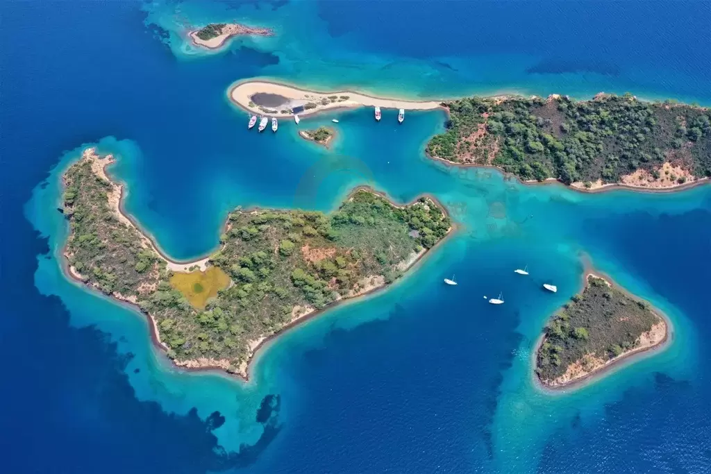 Islas Yasica Islas Yasica