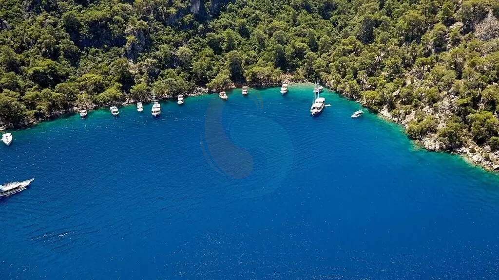 费特希耶人猿湾 费特希耶人猿湾