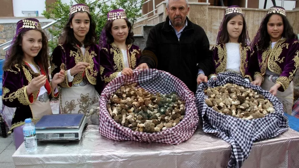 Yeşilüzümlü Dastar 和 Morel 蘑菇节