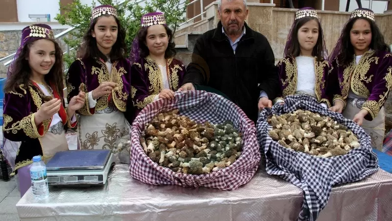 Yeşilüzümlü Dastar 和 Morel 蘑菇节