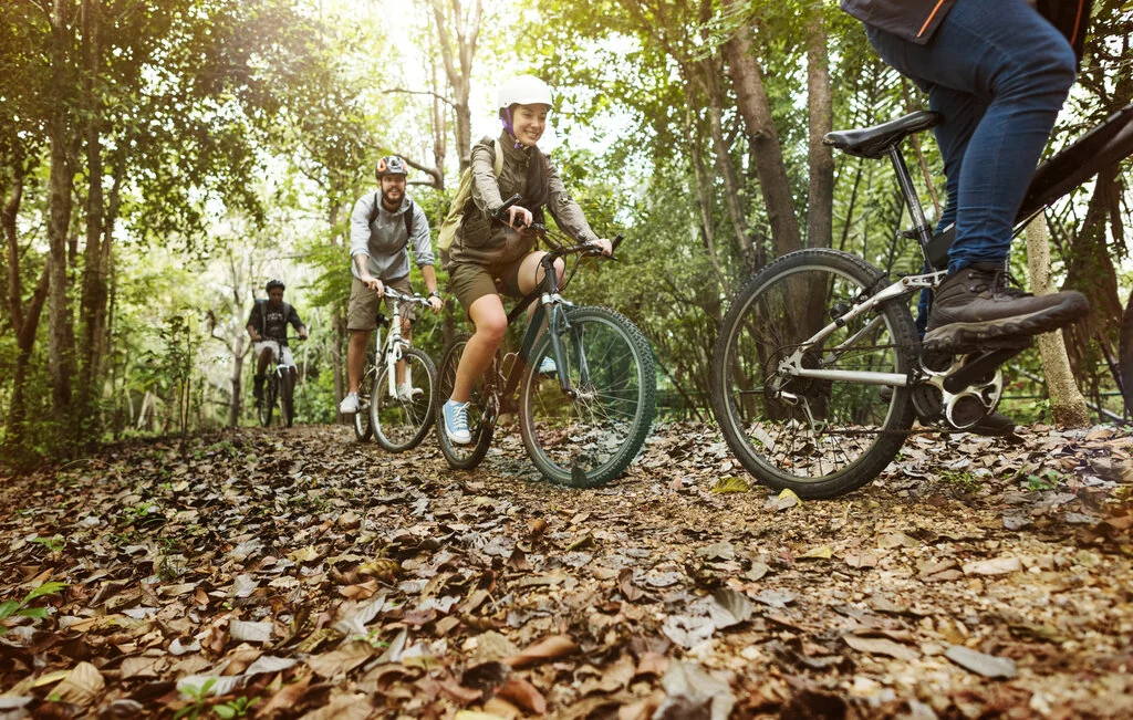 Bike Tours