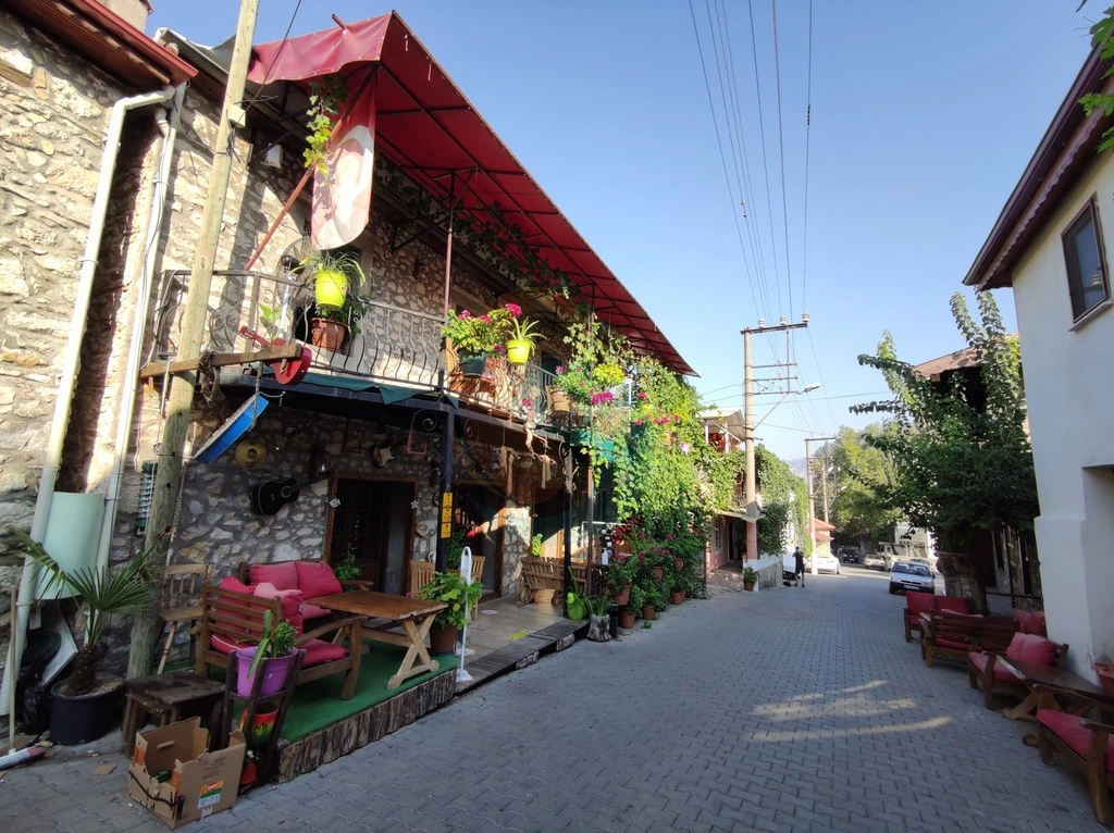 Yeşil Üzümlü Transfers